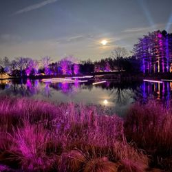 Morton Arboretum Illuminations Tickets 