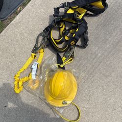 Harness 