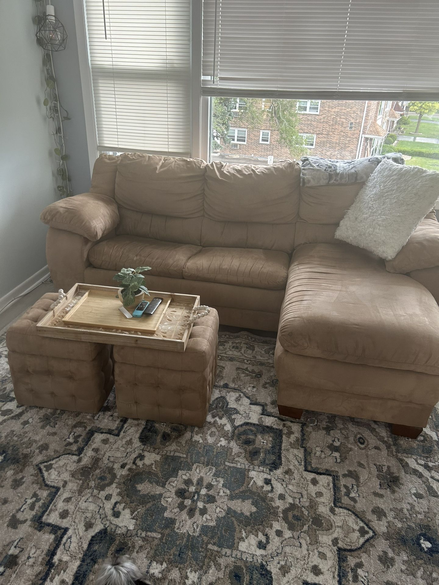 L Pull out Bed Sectional
