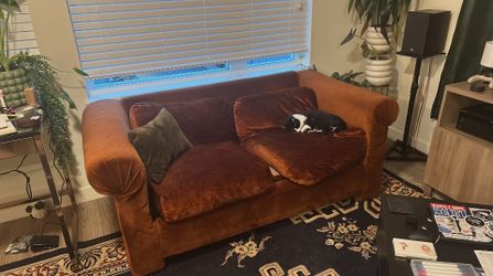 Burnt orange velvet loveseat