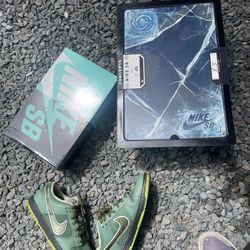 Nike SB Dunk Low Concepts Green Lobster (special Box)