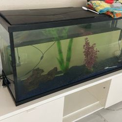 Fish Tank