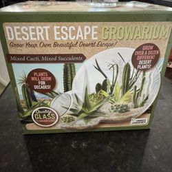 Succulent & Cactus Growarium Kit (Unopened)