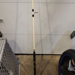 Berkley Fishing Pole