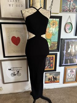 Form Fitting Zara Dress