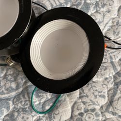 Pendant Lights 
