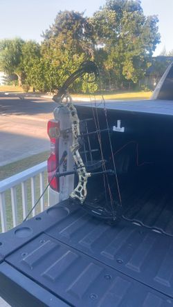 Bear vast compound bow