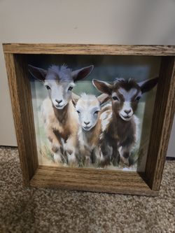 Three Baby Goats - 6x6