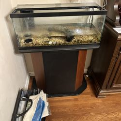  tank set up
