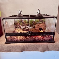 Terrarium 24x18x12 ( ExoTerra)