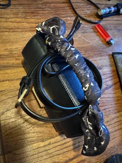Golden goose purse