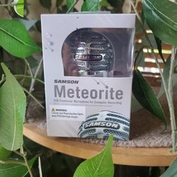 Samson Meteorite New