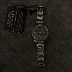 Citizen Eco-Drive EW3140-51E is a stainless steel ladies' watch featuring a black dial with a day-date indicator