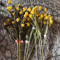 13 Stems Of Yellow Flower 