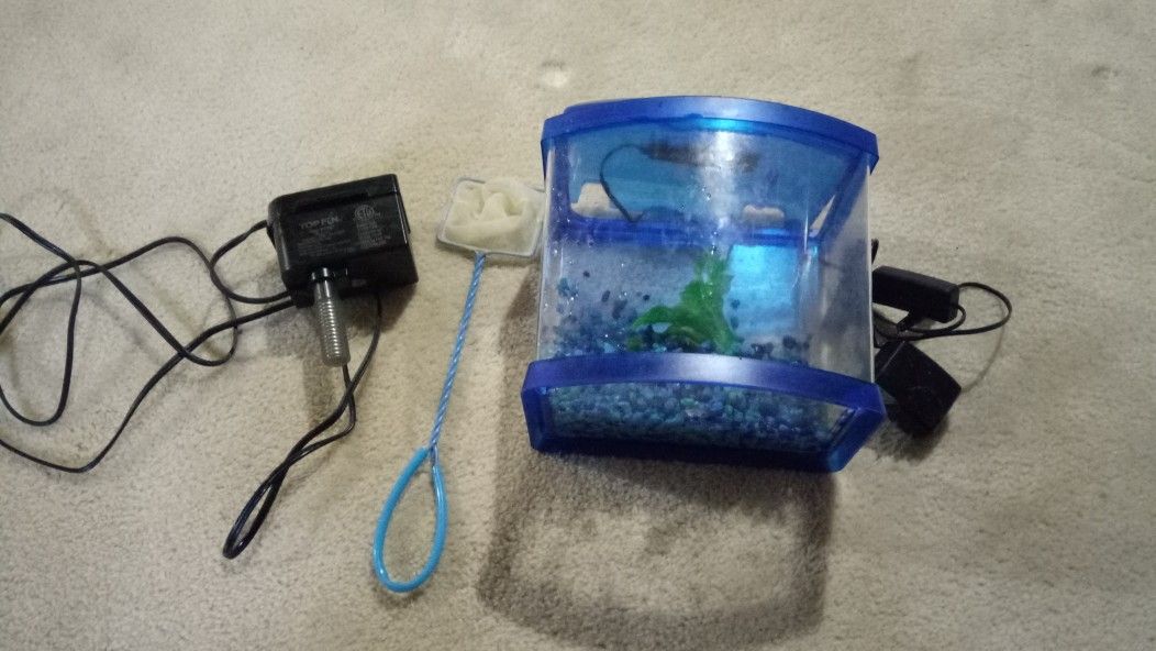 Little aquarium with filter light and food