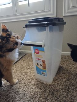 Pet food dispenser 16 QT