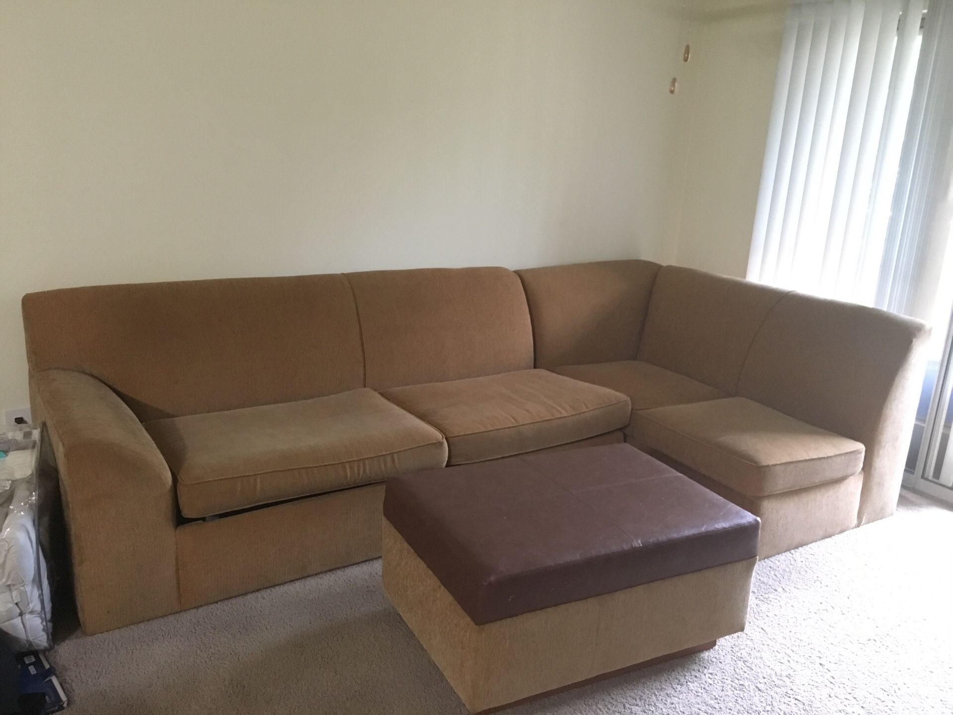 Pullout Sectional sofa bed