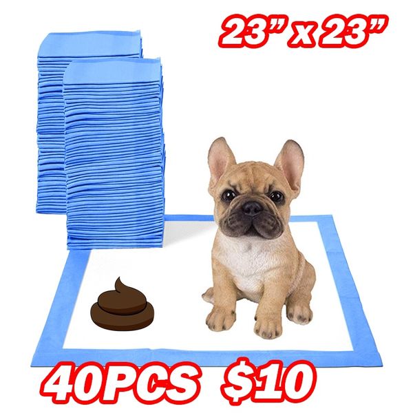Bulk Lot 40pcs 40 x Amazon basic prime pet dog puppy training pee pad