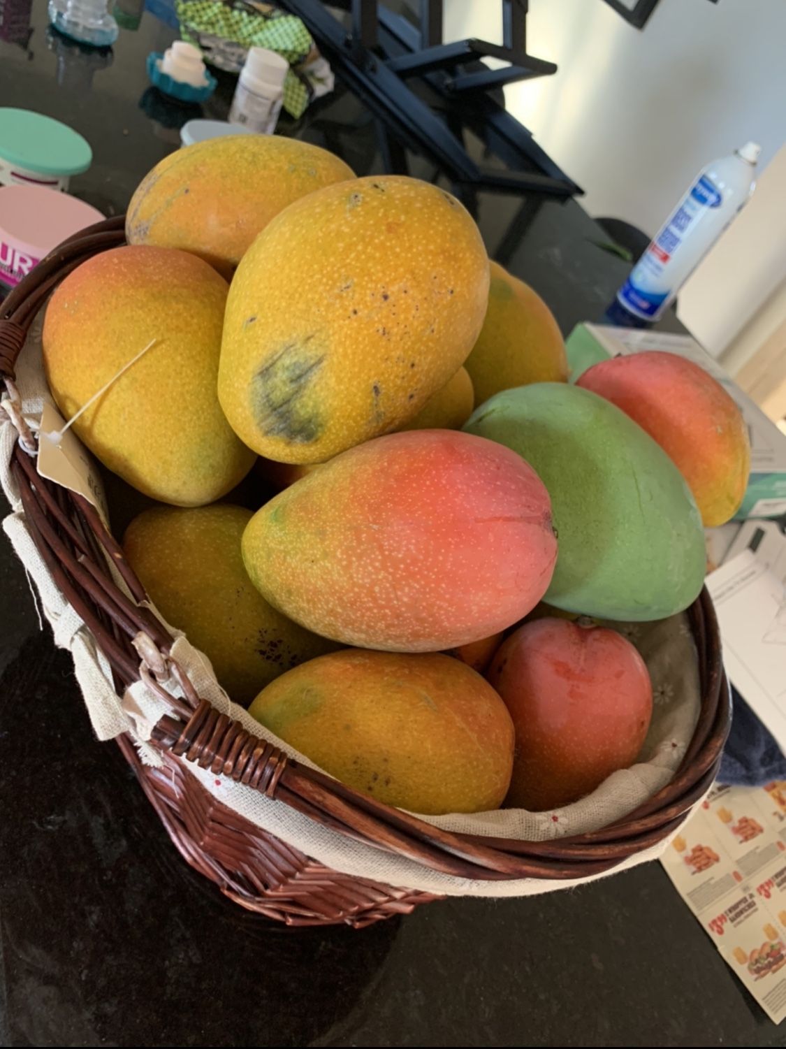 Organic Honey Mango TREE For Sale