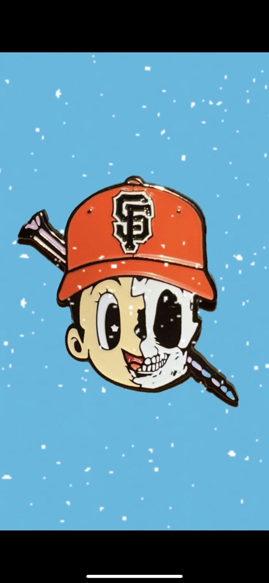 Giants And Niners Pin Package
