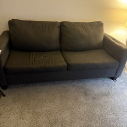 Couch  With Hide Abed