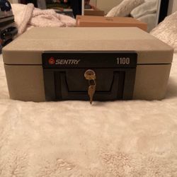 Sentry 1100 Safe Fire Resistant