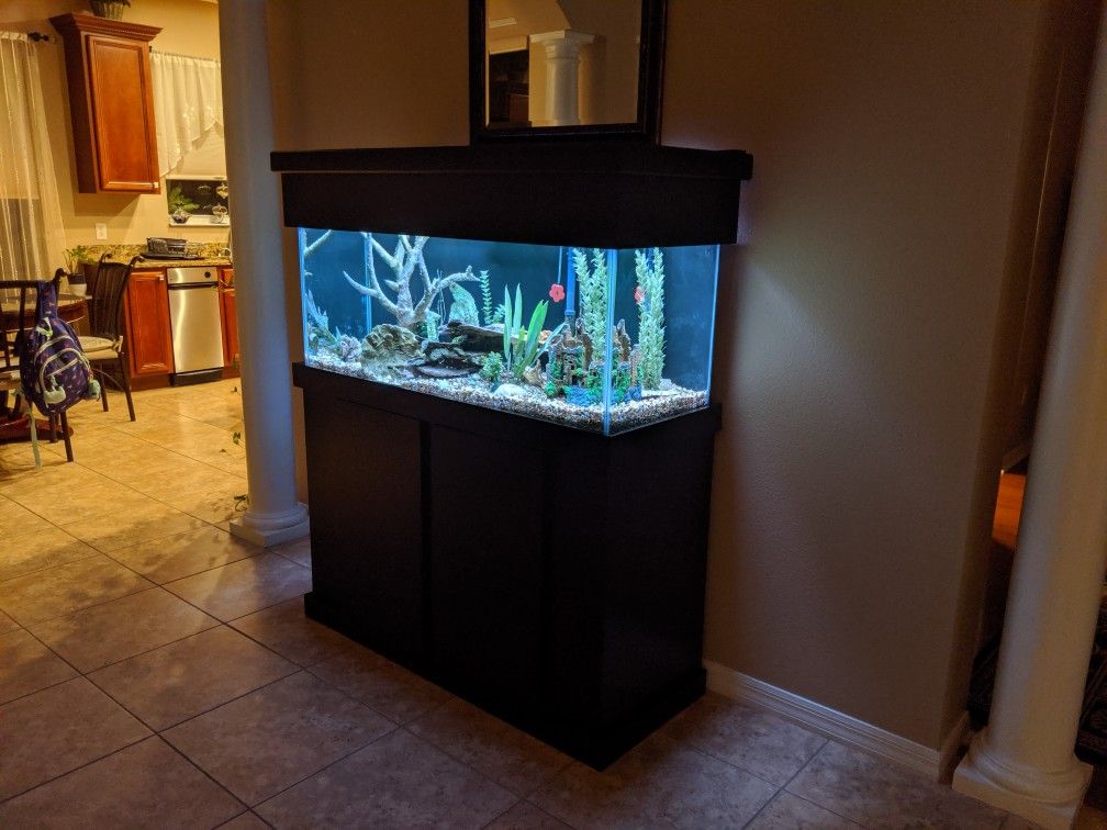 75 gallon fish tank with stand and pump