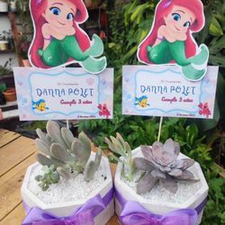 Arreglos Para fiestas 