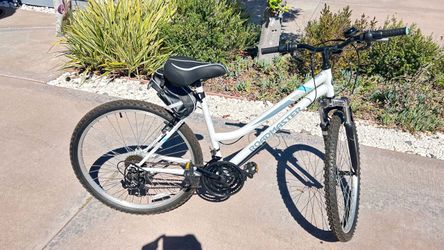 RoadMaster Bike