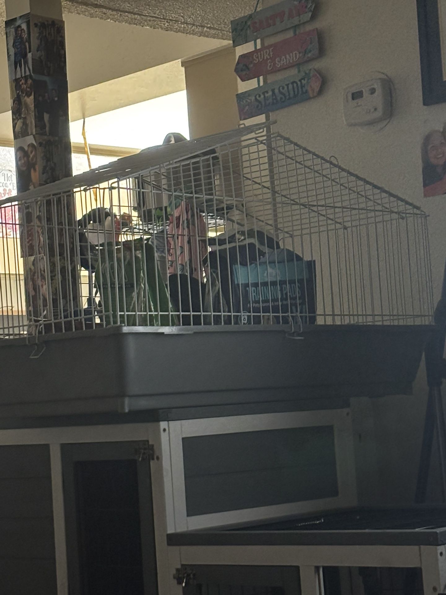 Small Animal Cage