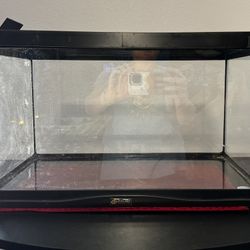 Glass Terrarium - 10 Gallons