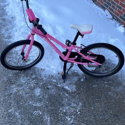 Trek Precaliber 20” Kids Bike – Pink