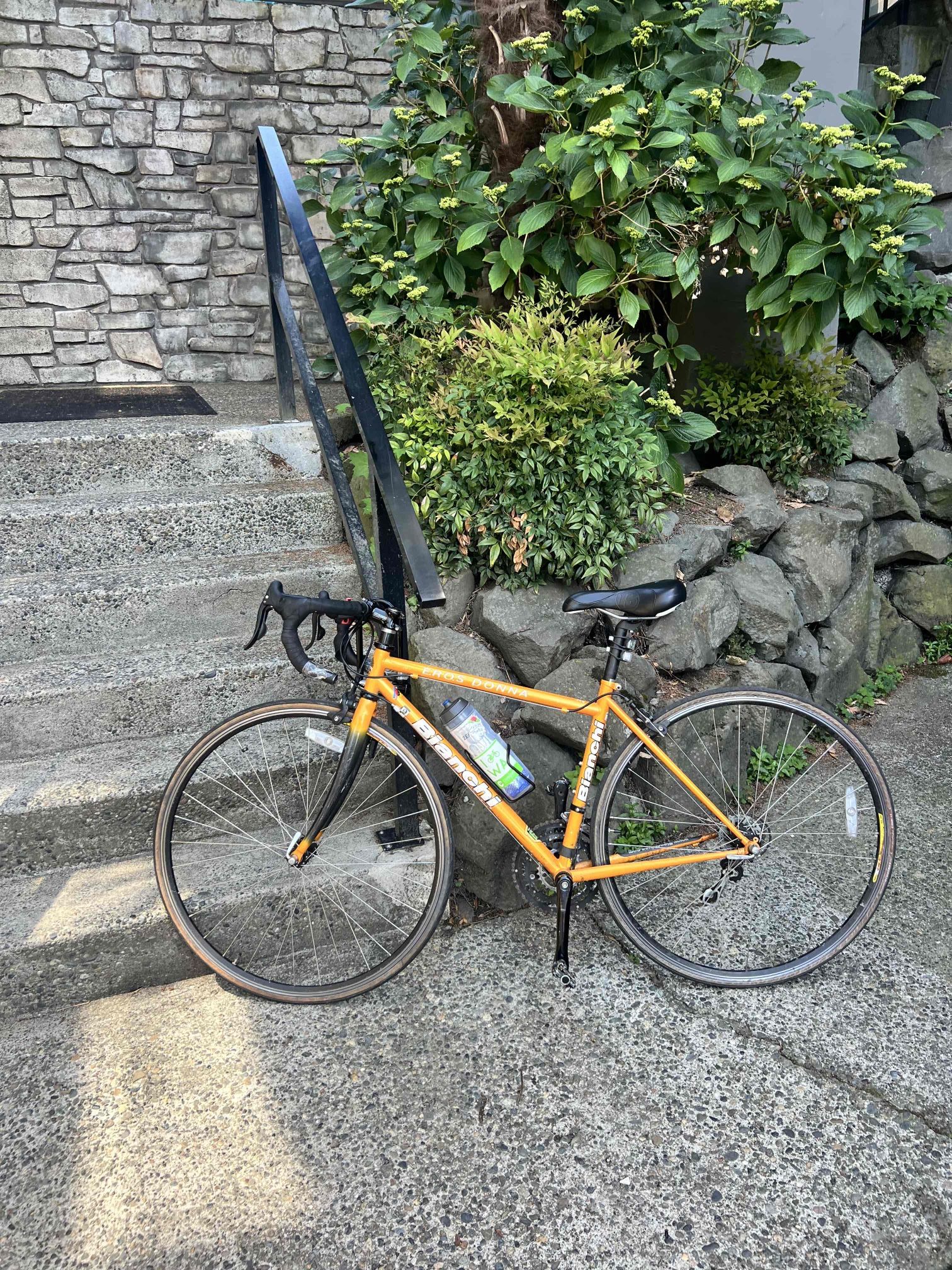 Road Bike