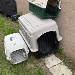 Xl  And Médium All For $40 