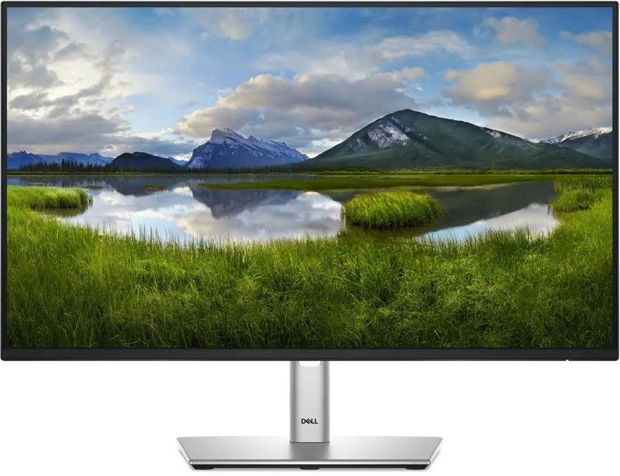 Dell P2425H LED Monitor