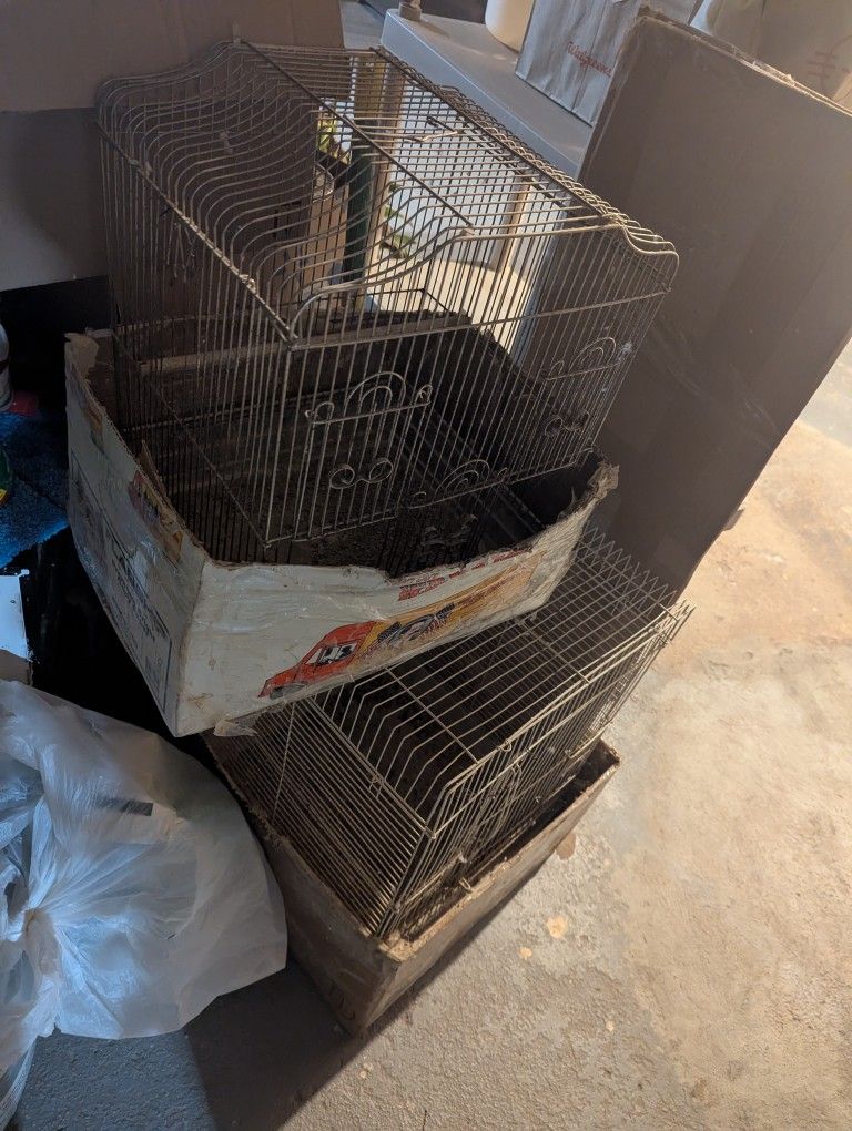 Bird Cage