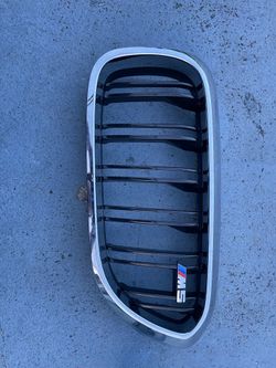 BMW M5 OEM Kidney Grill and OEM exhaust tip