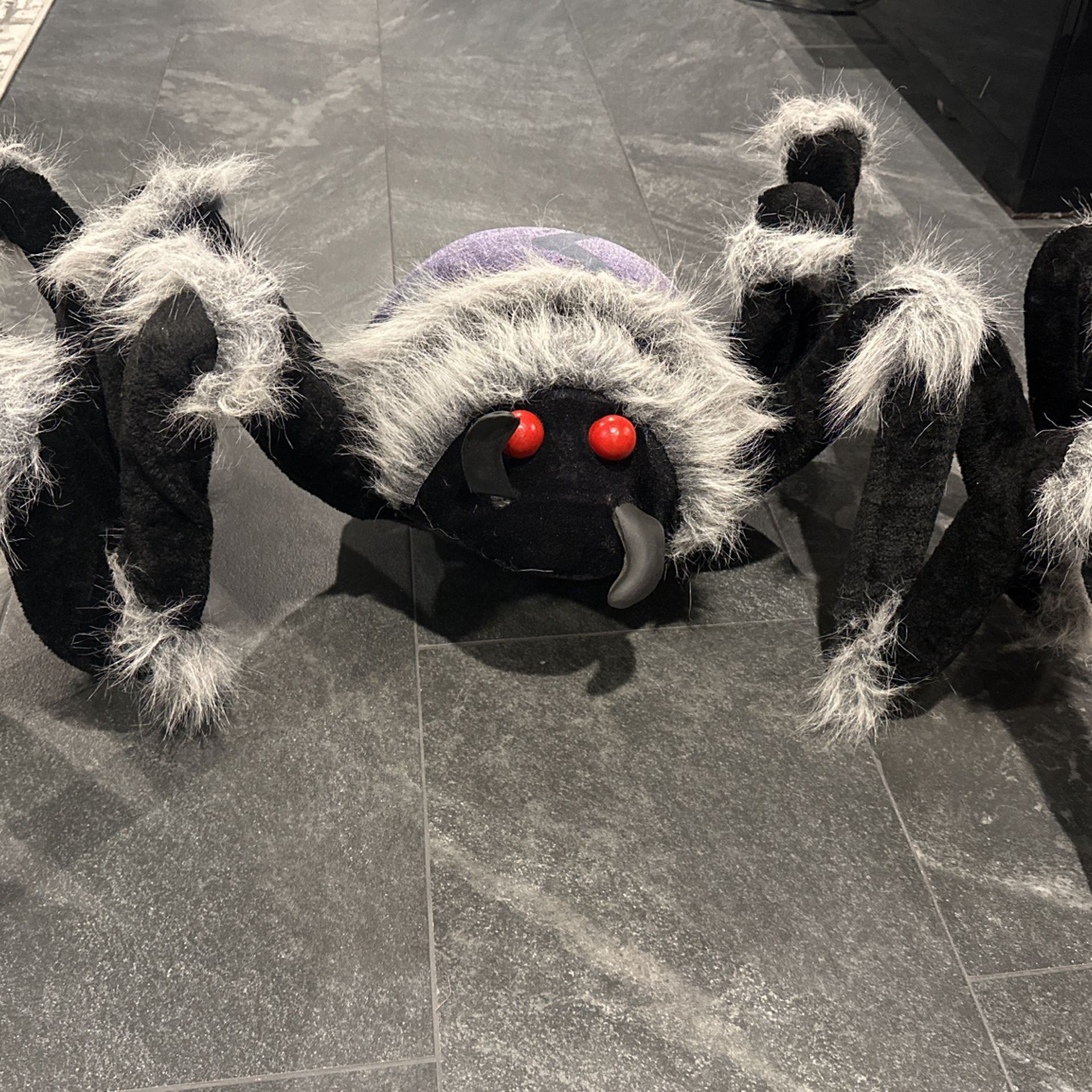 Halloween Deco-Black Spider