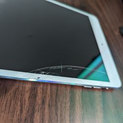 iPad Mini First Generation Does Not Power On