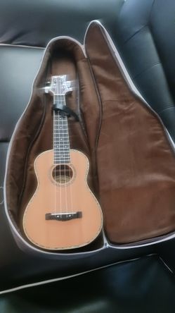 Nice Uke with new Gig Bag