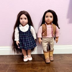 Next generation Dolls and Accessories 