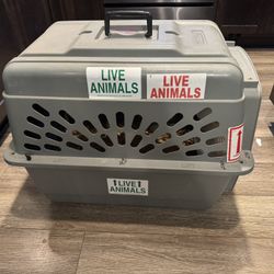 Dog Kennel 