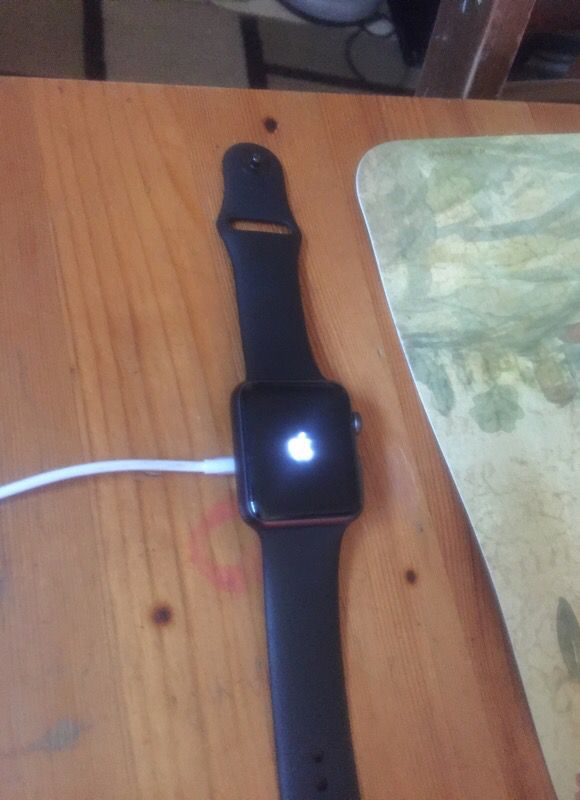 Apple Watch Series 1 ( No Charger ) Unlocked and useable
