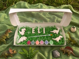 Dinosaur personalised name painting box