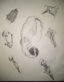 Original Artwork
