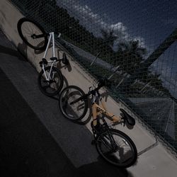 Dark Yellow DBX D2000 Mountain Bike – Built for Trails