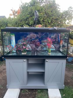 Fish tank