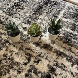 Fake Succulent Plants