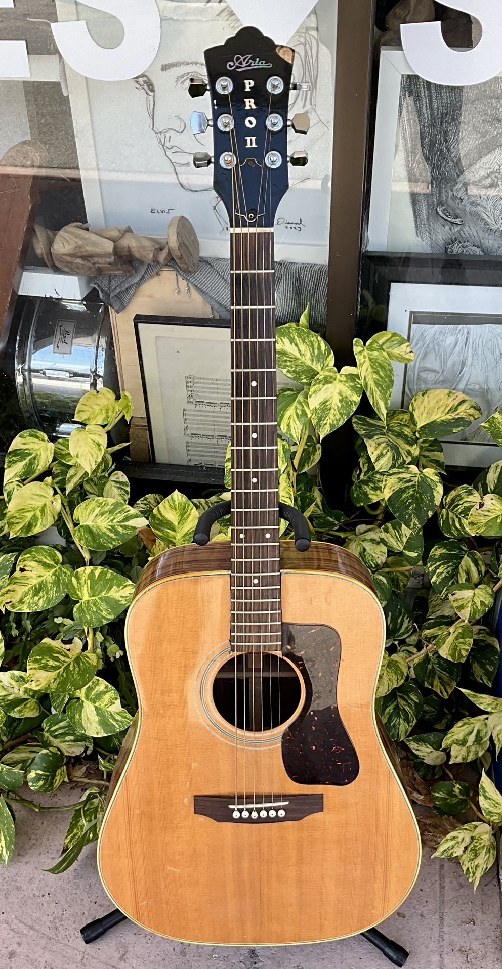 Aria Pro ll PW55 1970s Acoustic Guitar