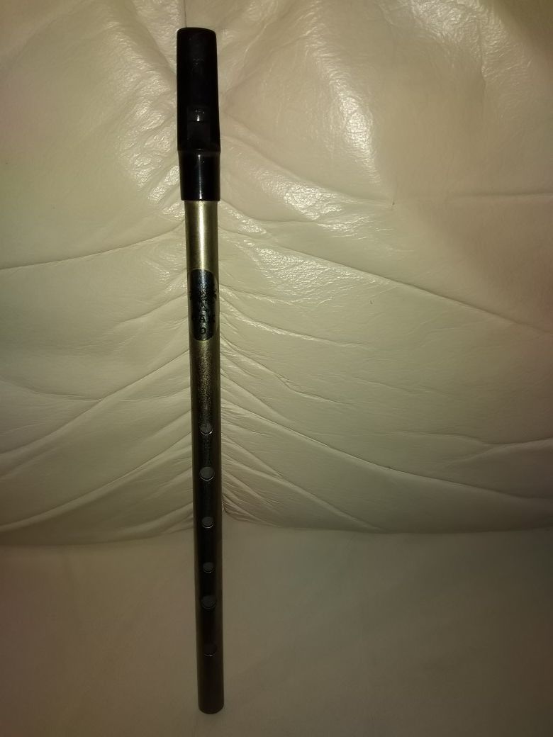 Penny Whistle in D